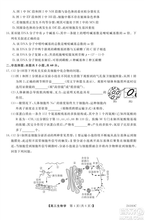 福州市2024届闽江口协作体高三上学期11月期中联考生物试题答案 福州市2024届闽江口协作体高三上学期11月期中联考生物试题答案