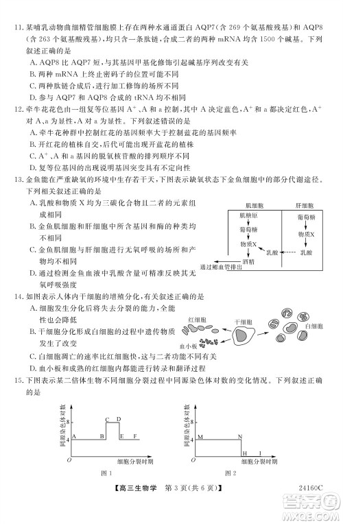 福州市2024届闽江口协作体高三上学期11月期中联考生物试题答案 福州市2024届闽江口协作体高三上学期11月期中联考生物试题答案
