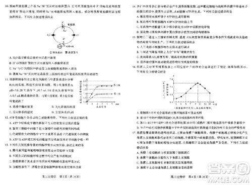 太原市2023-2024学年高三上学期期中学业诊断生物试题答案