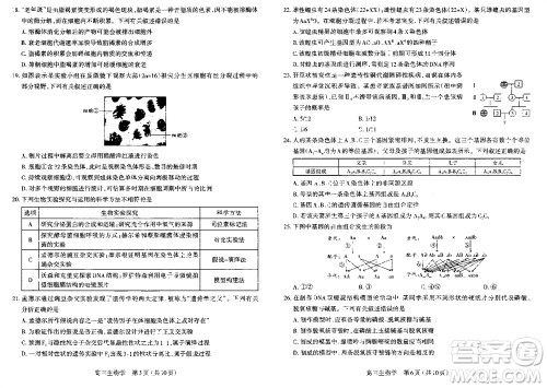 太原市2023-2024学年高三上学期期中学业诊断生物试题答案