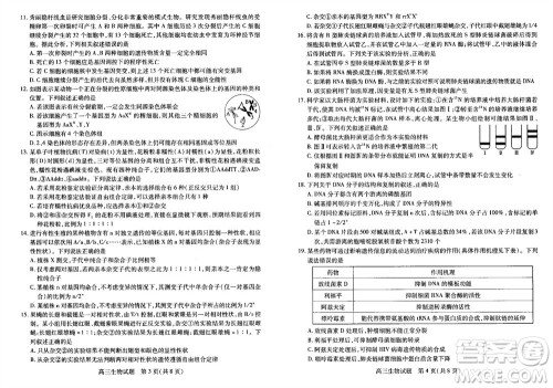 运城市2023-2024学年高三第一学期期中调研测试生物试题答案 运城市2023-2024学年高三第一学期期中调研测试生物试题答案
