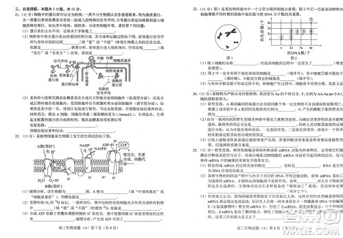 菏泽市2023-2024学年高三上学期期中考试生物试题A答案