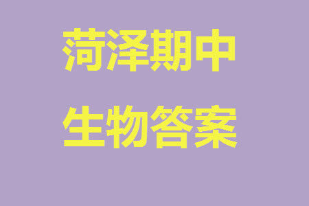 菏泽市2023-2024学年高三上学期期中考试生物试题A答案