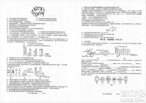 辽宁省2023-2024学年上学期辽西联合校高三11月期中考试生物答案 辽宁省2023-2024学年上学期辽西联合校高三11月期中考试生物答案