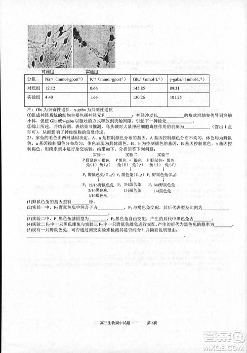 辽宁省2023-2024学年上学期辽西联合校高三11月期中考试生物答案 辽宁省2023-2024学年上学期辽西联合校高三11月期中考试生物答案