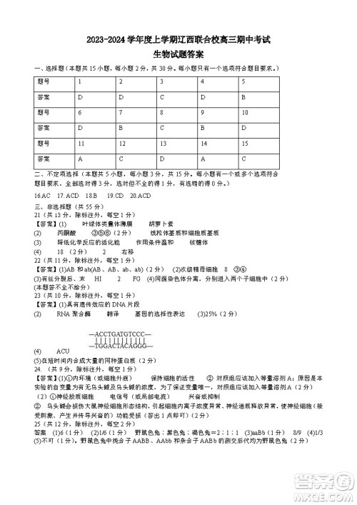 辽宁省2023-2024学年上学期辽西联合校高三11月期中考试生物答案 辽宁省2023-2024学年上学期辽西联合校高三11月期中考试生物答案