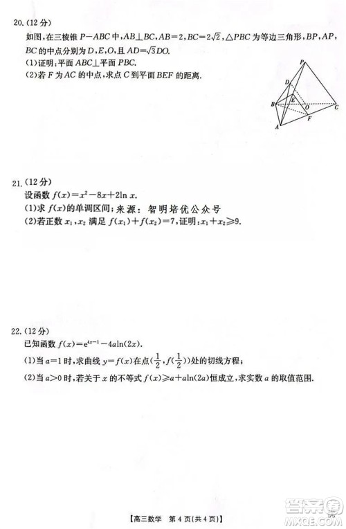 2024届辽宁金太阳高三上学期11月16号联考数学试题答案