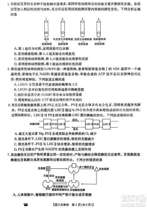 2024届福建金太阳高三上学期11月16号联考生物参考答案