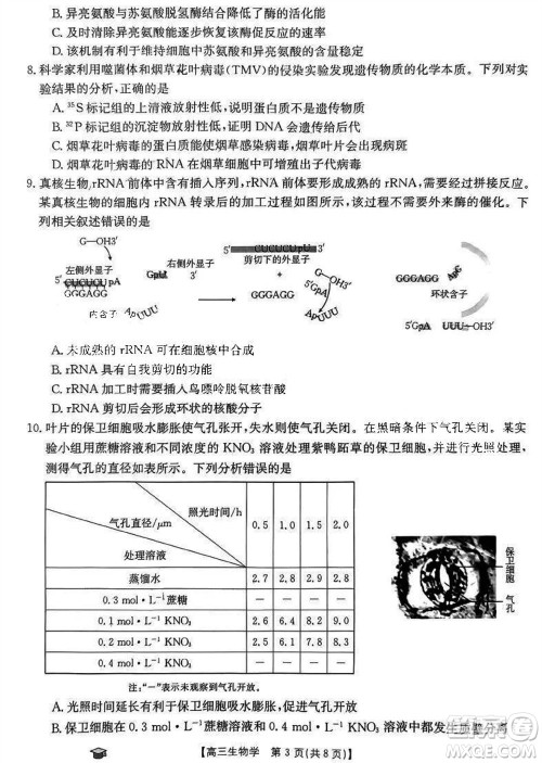 2024届福建金太阳高三上学期11月16号联考生物参考答案