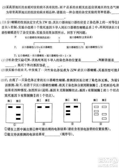 2024届福建金太阳高三上学期11月16号联考生物参考答案