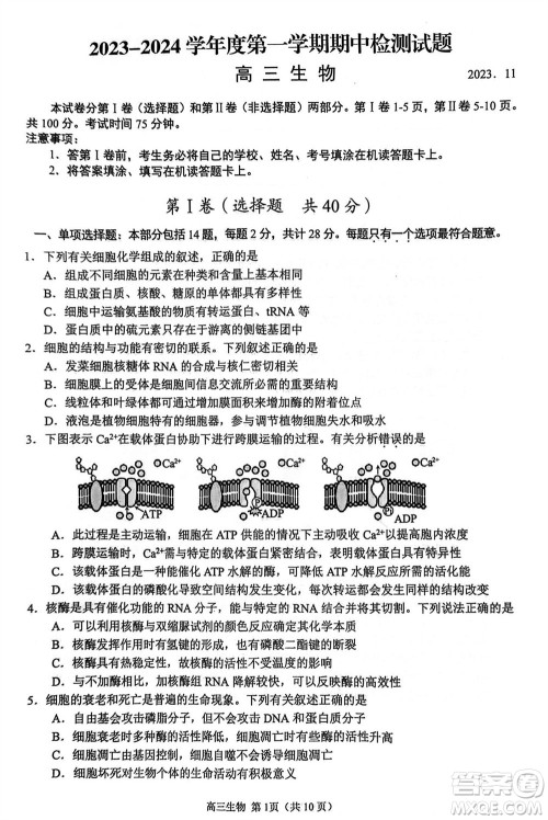 扬州市2023-2024学年高三上学期期中检测试题生物答案