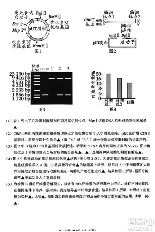 扬州市2023-2024学年高三上学期期中检测试题生物答案