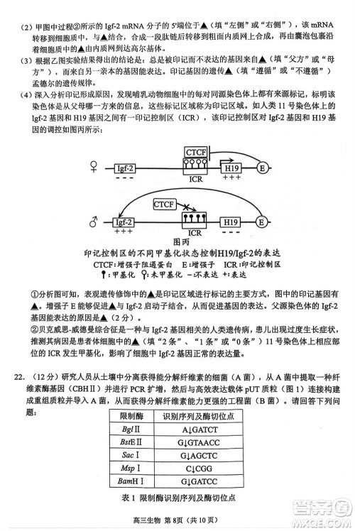 扬州市2023-2024学年高三上学期期中检测试题生物答案