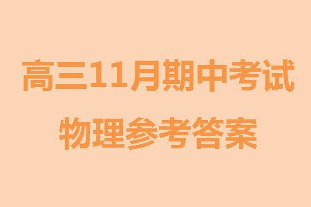 辽宁省2023-2024学年上学期辽西联合校高三11月期中考试物理答案