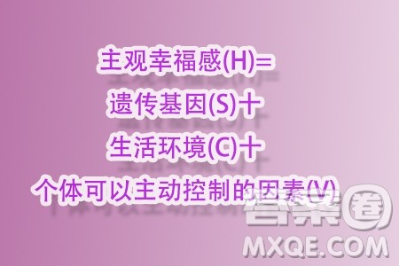 幸福方程式材料作文800字 关于幸福方程式的材料作文800字 幸福方程式材料作文800字 关于幸福方程式的材料作文800字