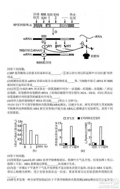 贵阳市2023年普通高中高三年级上学期11月质量监测试卷生物答案