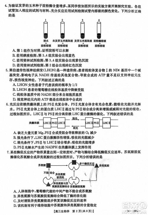 河北沧衡八校联盟2024届高三上学期期中考试金太阳138C生物试题答案