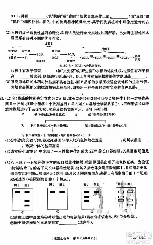 河北沧衡八校联盟2024届高三上学期期中考试金太阳138C生物试题答案