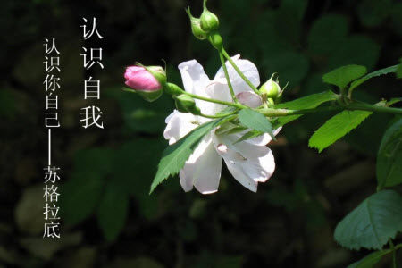 只有认识自身的局限才能使人获得力量材料作文800字 只有认识自身的局限才能使人获得力量材料作文800字