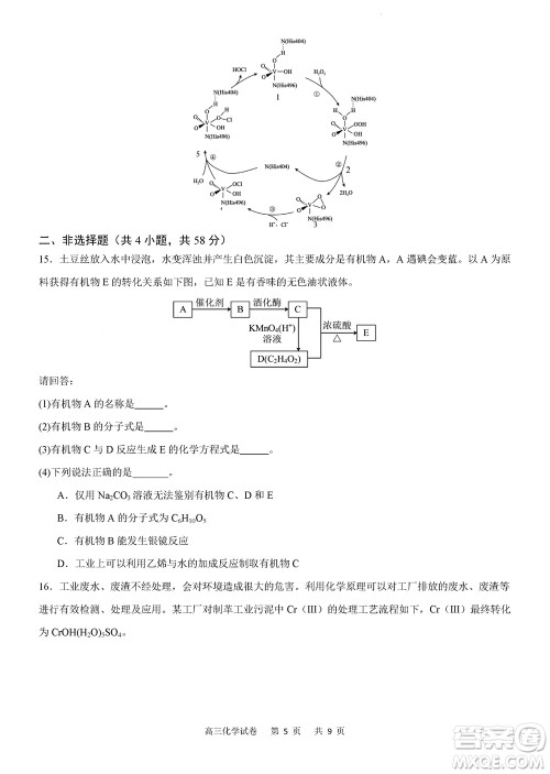 重庆市缙云教育联盟2023-2024学年高三上学期11月质量检测化学答案