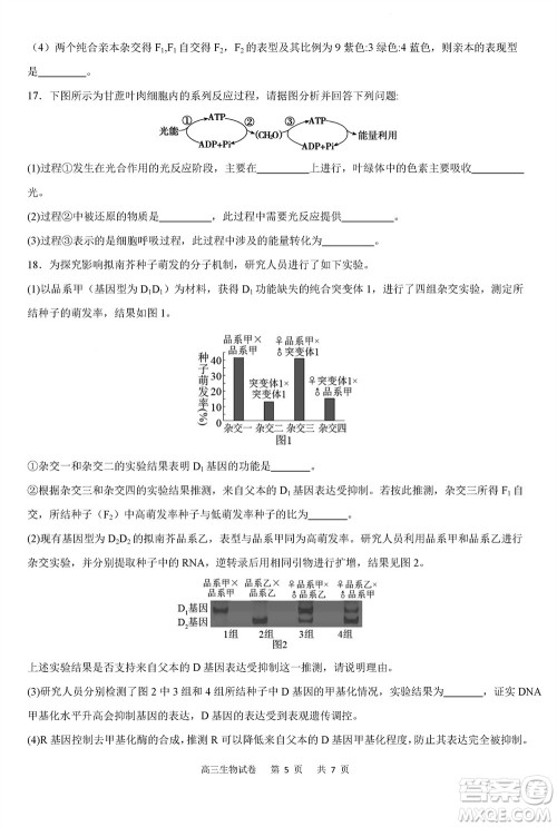 重庆市缙云教育联盟2023-2024学年高三上学期11月质量检测生物答案 重庆市缙云教育联盟2023-2024学年高三上学期11月质量检测生物答案