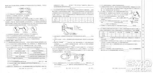 福建龙岩名校2023-2024学年高三上学期11月期中考试试题生物答案 福建龙岩名校2023-2024学年高三上学期11月期中考试试题生物答案