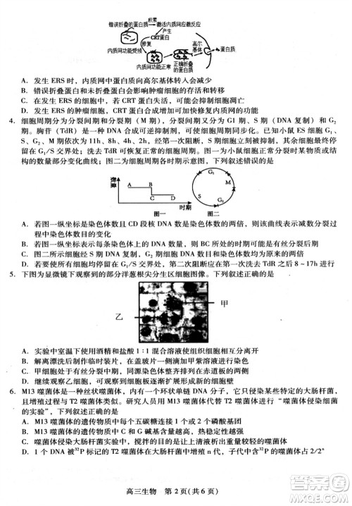贵州名校协作体2023-2024学年高三上学期11月联考一生物参考答案 贵州名校协作体2023-2024学年高三上学期11月联考一生物参考答案