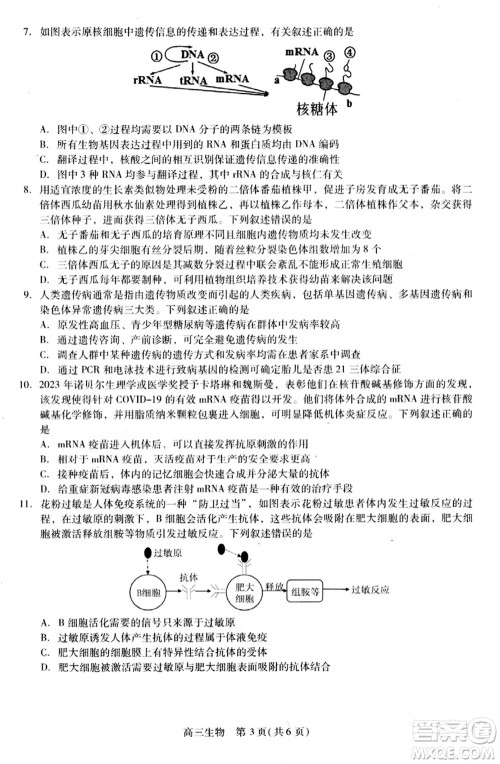 贵州名校协作体2023-2024学年高三上学期11月联考一生物参考答案 贵州名校协作体2023-2024学年高三上学期11月联考一生物参考答案