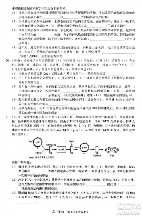 贵州名校协作体2023-2024学年高三上学期11月联考一生物参考答案 贵州名校协作体2023-2024学年高三上学期11月联考一生物参考答案
