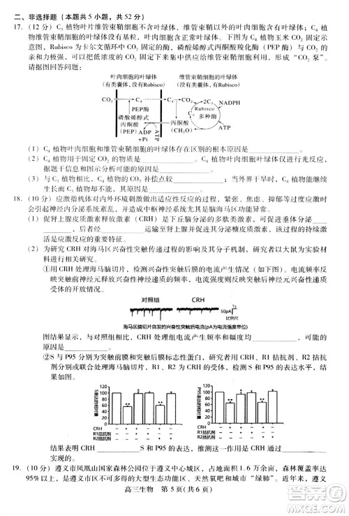 贵州名校协作体2023-2024学年高三上学期11月联考一生物参考答案