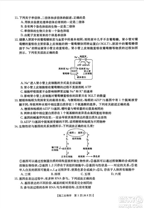 山西省2024届高三上学期11月金太阳联考生物试题答案 山西省2024届高三上学期11月金太阳联考生物试题答案