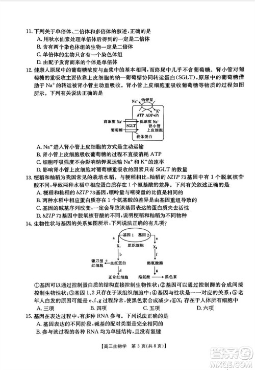 山西省2024届高三上学期11月金太阳联考生物试题答案