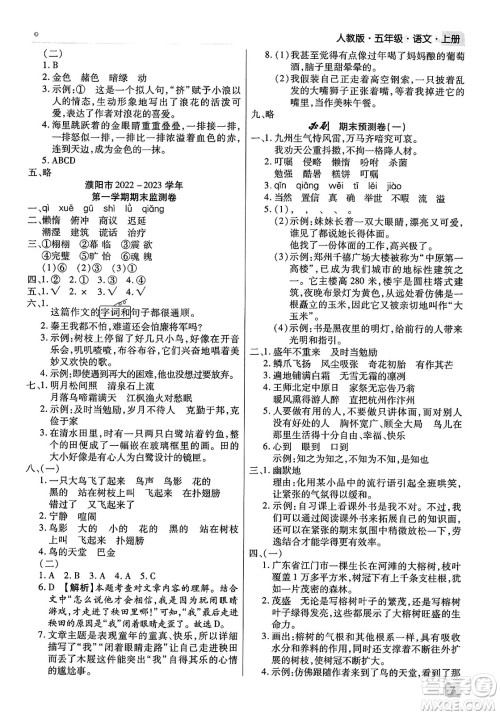 北方妇女儿童出版社2023年秋期末考试必刷卷五年级语文上册人教版河南专版答案 北方妇女儿童出版社2023年秋期末考试必刷卷五年级语文上册人教版河南专版答案