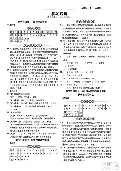 阳光出版社2023年秋期末考试必刷卷七年级生物上册人教版河南专版答案 阳光出版社2023年秋期末考试必刷卷七年级生物上册人教版河南专版答案