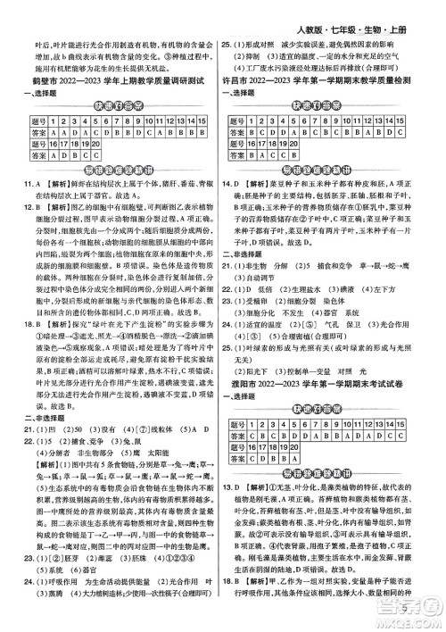 阳光出版社2023年秋期末考试必刷卷七年级生物上册人教版河南专版答案