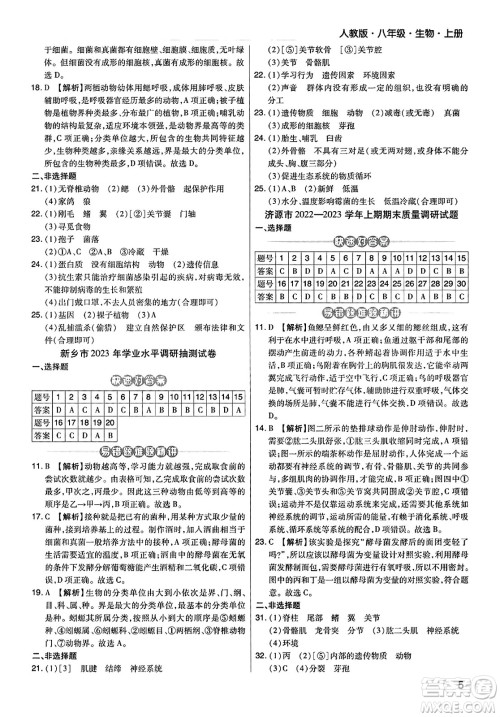 阳光出版社2023年秋期末考试必刷卷八年级生物上册人教版河南专版答案