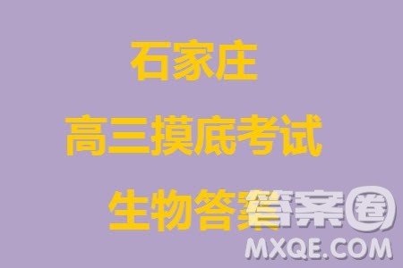 石家庄市2024届高三上学期11月教学质量摸底检测生物答案