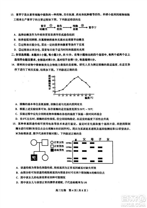 石家庄市2024届高三上学期11月教学质量摸底检测生物答案