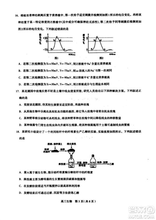 石家庄市2024届高三上学期11月教学质量摸底检测生物答案