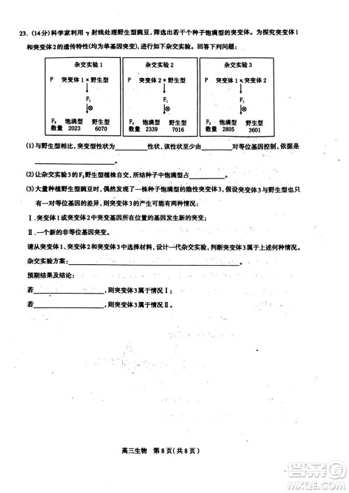 石家庄市2024届高三上学期11月教学质量摸底检测生物答案