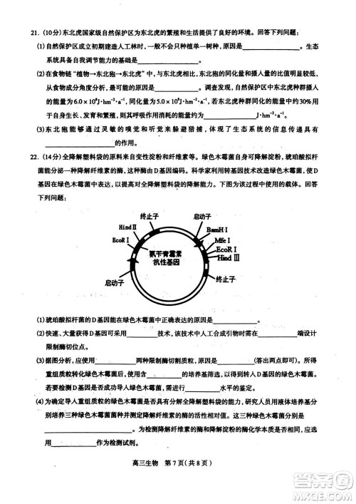 石家庄市2024届高三上学期11月教学质量摸底检测生物答案