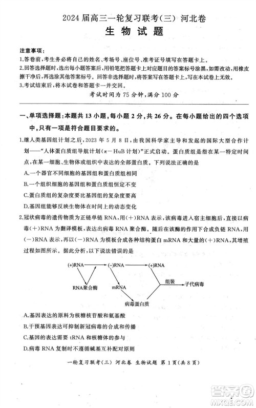 百师联盟2024届高三上学期一轮复习联考三河北卷生物参考答案