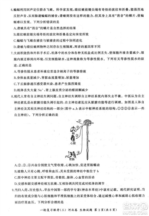 百师联盟2024届高三上学期一轮复习联考三河北卷生物参考答案 百师联盟2024届高三上学期一轮复习联考三河北卷生物参考答案