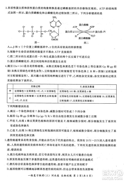 百师联盟2024届高三上学期一轮复习联考三河北卷生物参考答案