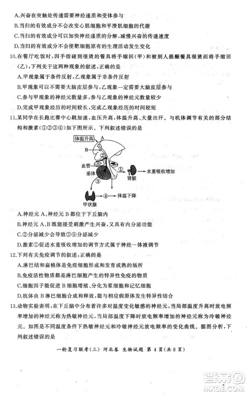 百师联盟2024届高三上学期一轮复习联考三河北卷生物参考答案