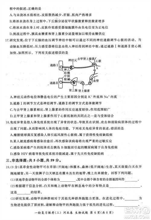 百师联盟2024届高三上学期一轮复习联考三河北卷生物参考答案