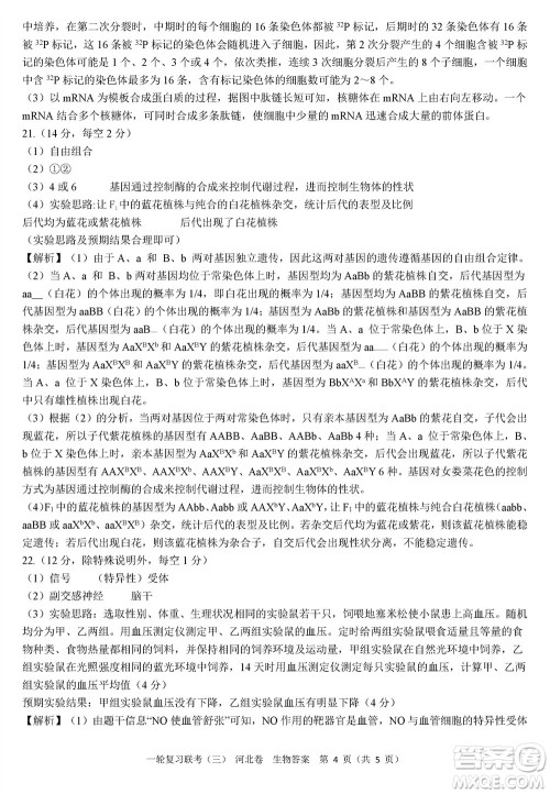 百师联盟2024届高三上学期一轮复习联考三河北卷生物参考答案 百师联盟2024届高三上学期一轮复习联考三河北卷生物参考答案