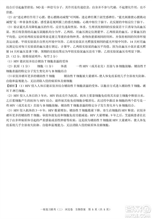 百师联盟2024届高三上学期一轮复习联考三河北卷生物参考答案 百师联盟2024届高三上学期一轮复习联考三河北卷生物参考答案