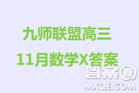 九师联盟联考2024届高三11月质量检测X数学试题答案