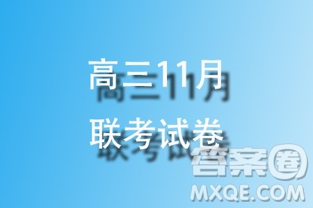 四川金太阳2024届高三11月联考24150C理科数学试题答案